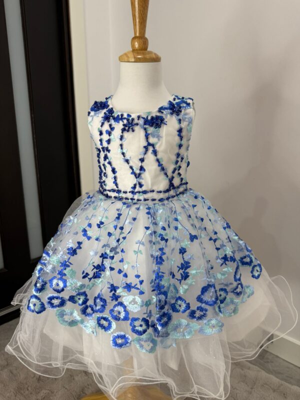 Blossom Garden Embroidered Tulle Dress - Image 7