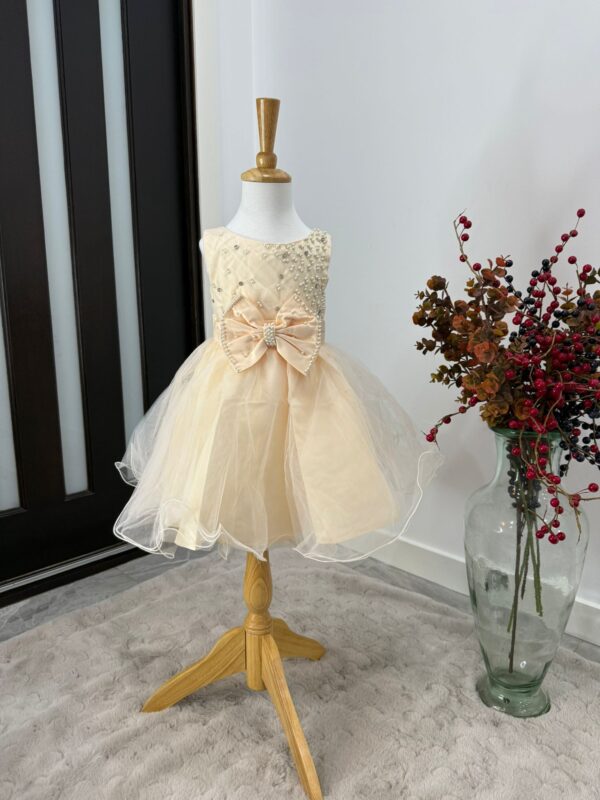 Pearl Elegance Tulle Princess Dress - Image 5