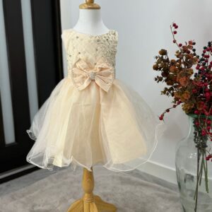 Pearl Elegance Tulle Princess Dress