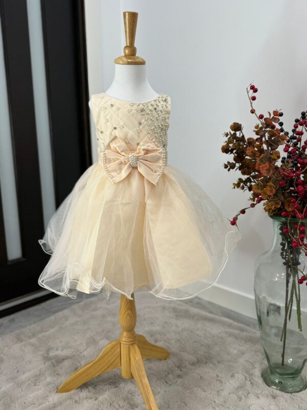 Pearl Elegance Tulle Princess Dress