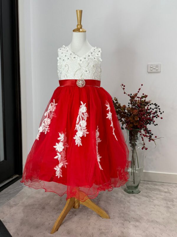 Royal Bloom Red & White Embroidered Tulle Dress - Image 4