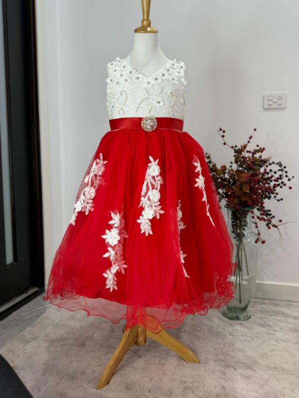 Royal Bloom Red & White Embroidered Tulle Dress