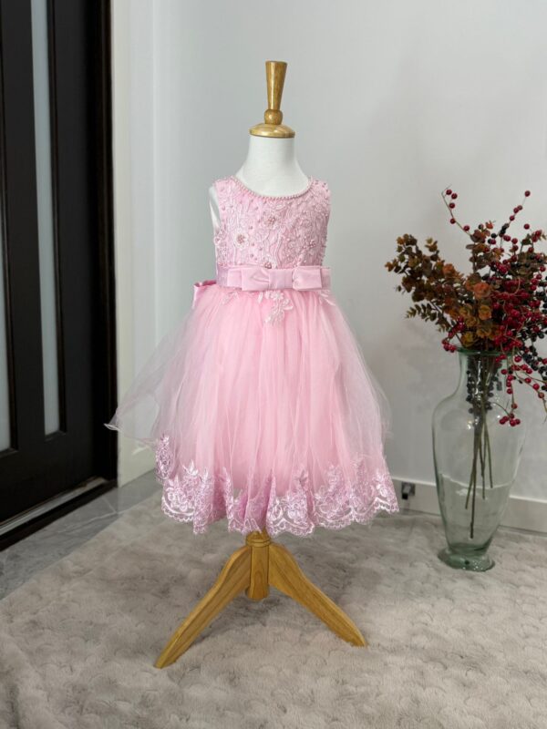 Rosabella Lace Charm Dress - Image 4