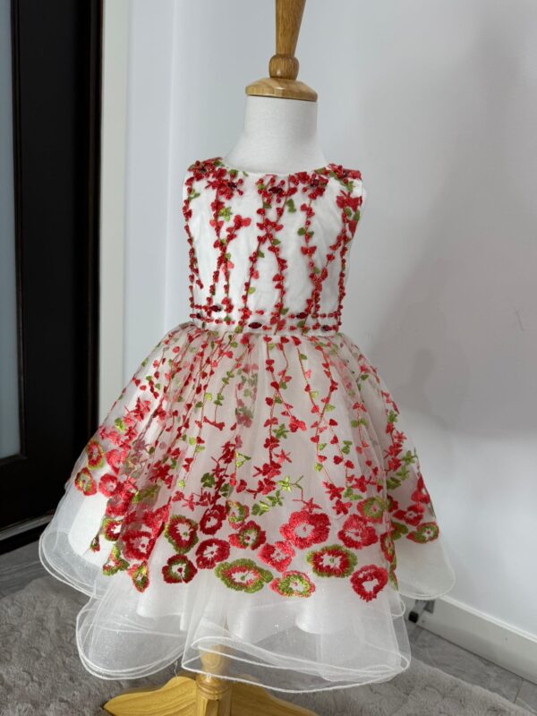 Blossom Garden Embroidered Tulle Dress - Image 2