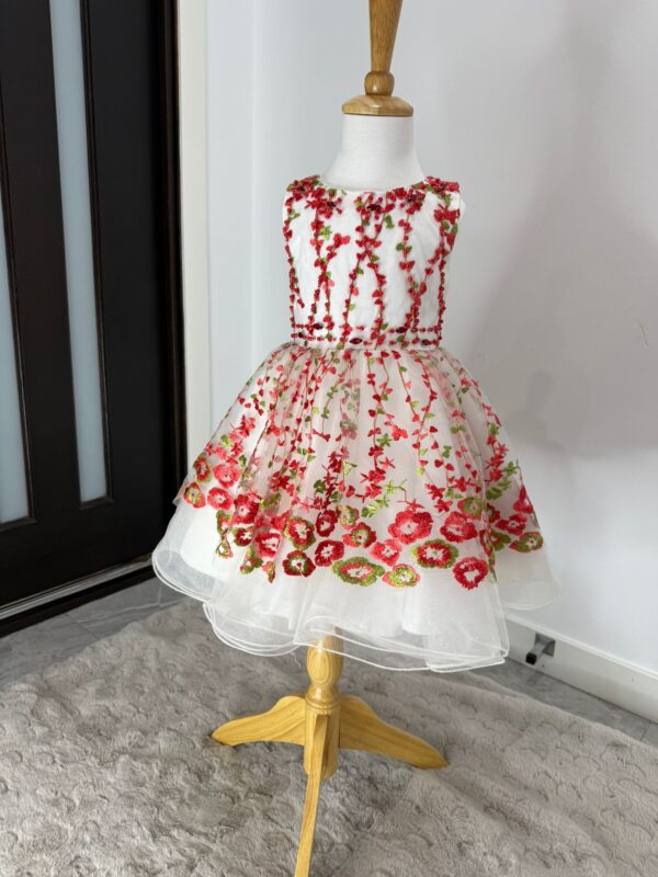Blossom Garden Embroidered Tulle Dress - Image 4