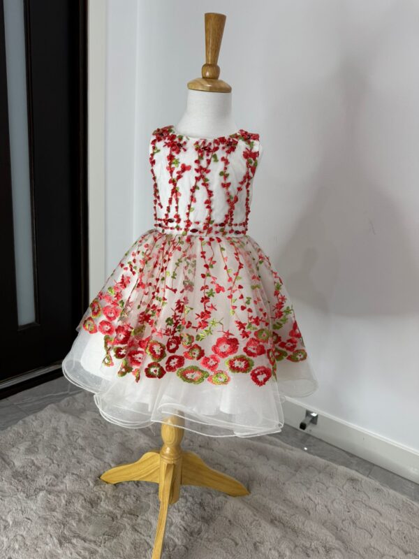 Blossom Garden Embroidered Tulle Dress - Image 5