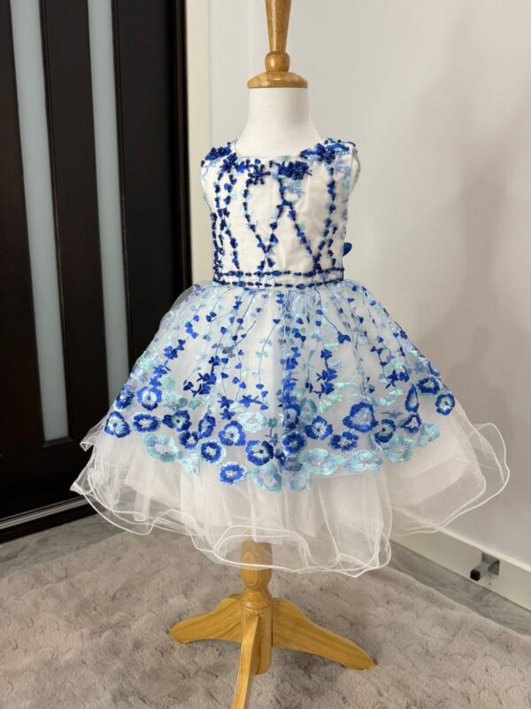 Blossom Garden Embroidered Tulle Dress - Image 6