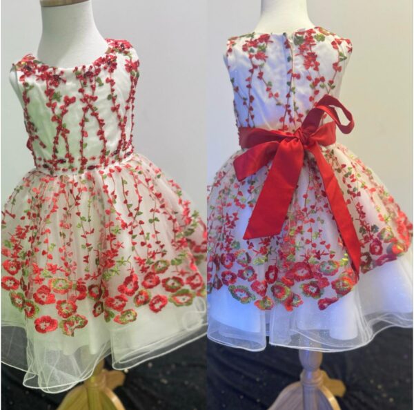 Blossom Garden Embroidered Tulle Dress - Image 13
