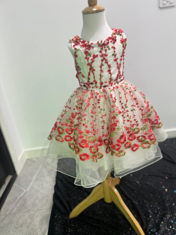 Blossom Garden Embroidered Tulle Dress - Image 14