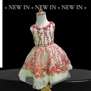 Blossom Garden Embroidered Tulle Dress
