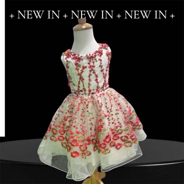 Blossom Garden Embroidered Tulle Dress